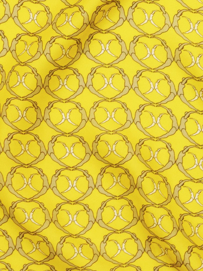 Synchronized Silk Scarf