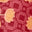 Product Color Swatch