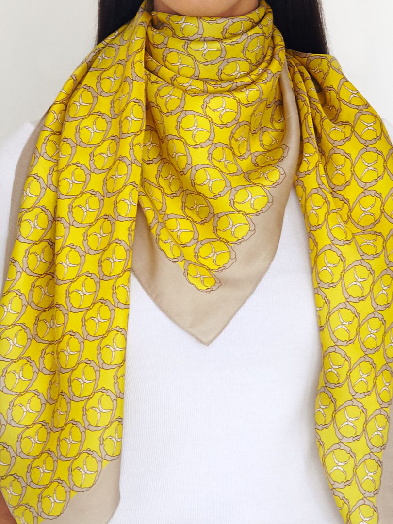 Synchronized Silk Scarf